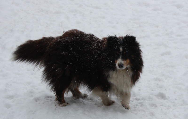 Country black river du Grand Pre D'Ortignac